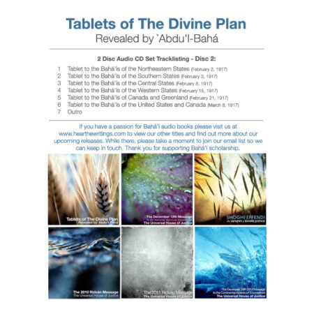 TODP_cover_reverse_disc_2_650